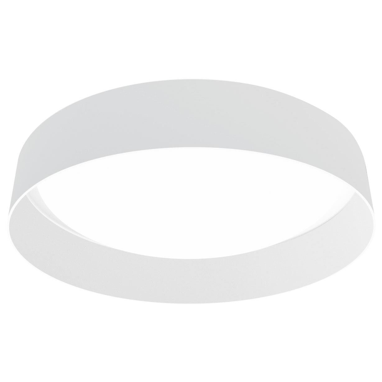 Eglo Palomaro 19 Inch 1 Light LED Flush Mount by Eglo Lighting